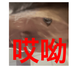 764575330
