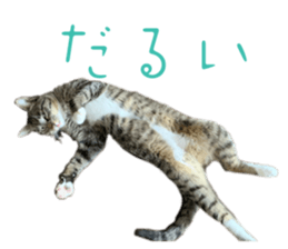 764580061