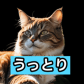 764582576