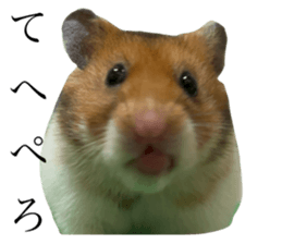 764589969