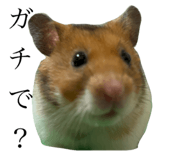 764589970