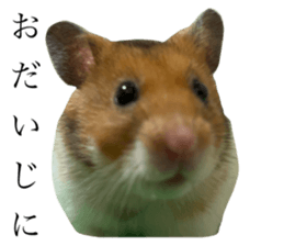 764589976