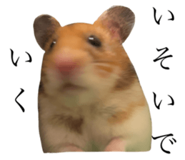 764589985