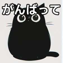 764592011