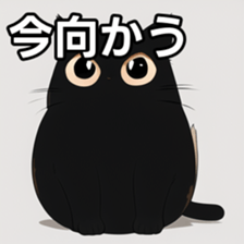 764592026