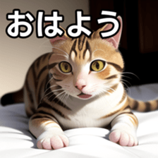 764592926