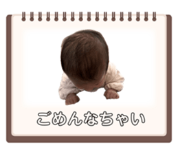 764594036