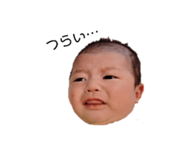 764594130