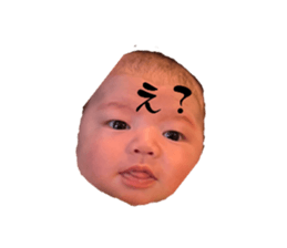 764594131