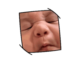 764596141