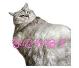 764604692