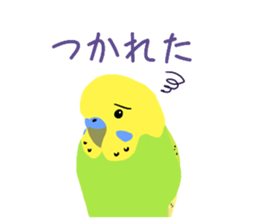 764629155