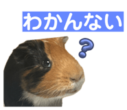 764629899