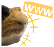 764629902