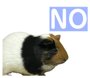 764629910