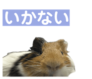 764629911