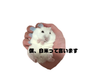 764635747