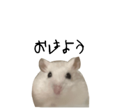 764635753