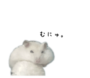 764635754