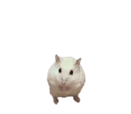 764635755