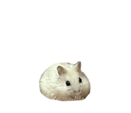 764635756