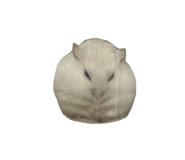 764635757