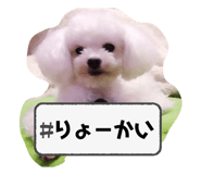 764637033