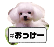 764637034