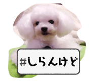 764637035