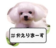 764637036