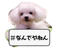 764637038