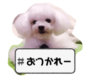 764637039