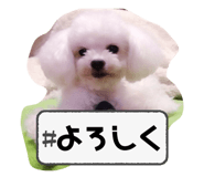 764637040