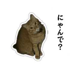 764647639