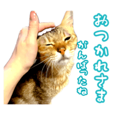 764647803