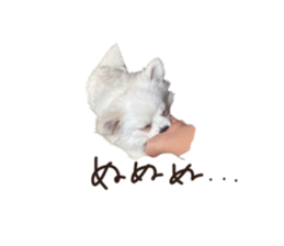 764665097