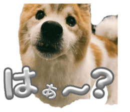 764665642