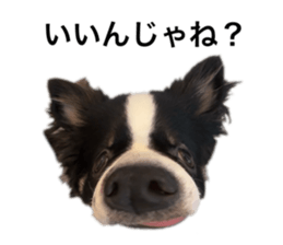 764667625