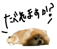 764667674