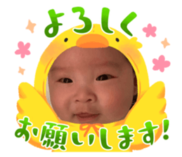 764668264