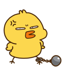 764669485