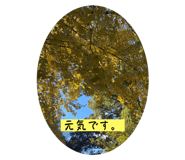 764670645