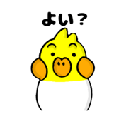 764674028