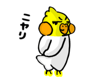 764674034