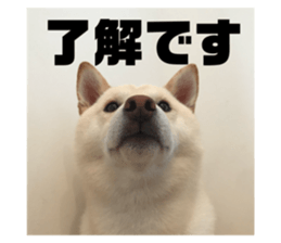 764675298