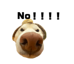 764675314