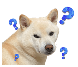 764675324