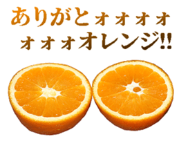 764678093