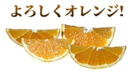 764678096