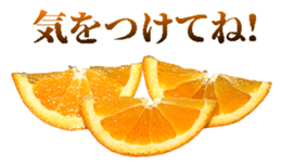 764678100